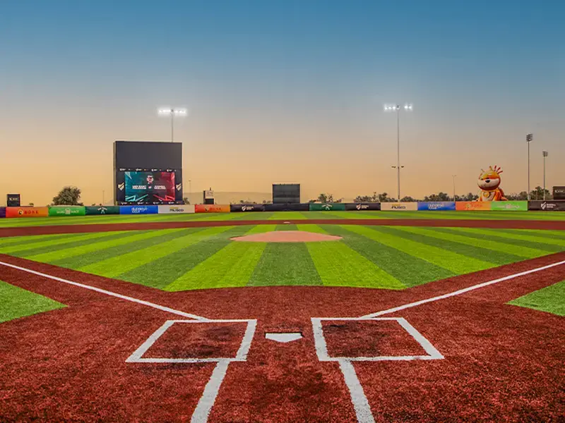 Dune of Dreams: Baseball league in Dubai begins with novel rules and camels