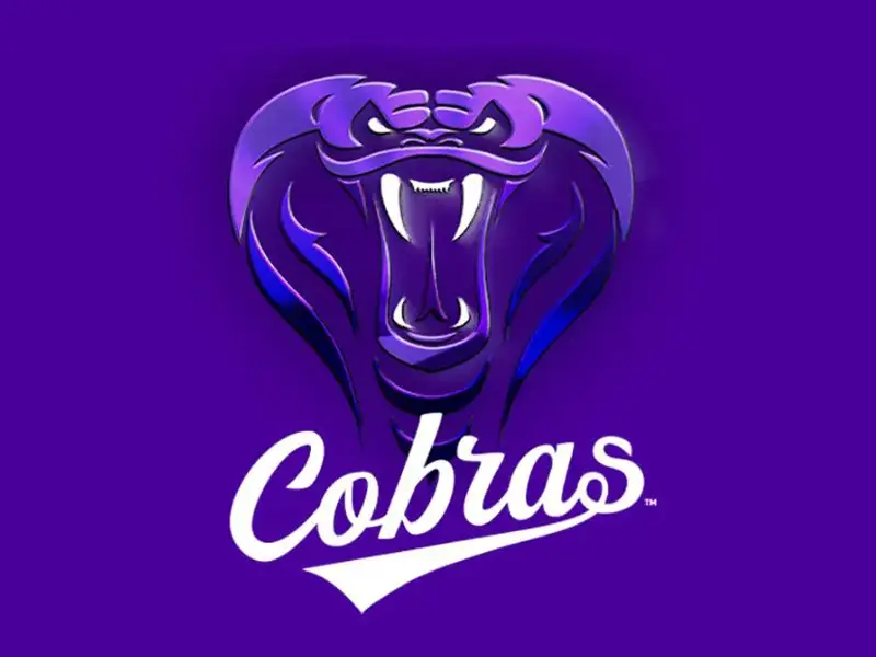 Meet the Mumbai Cobras: Baseball’s Expansion into the Middle East